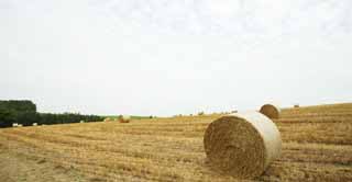 Foto, materiell, befreit, Landschaft, Bild, hat Foto auf Lager,Eine Grasrolle, Feld, Grasrolle, Das Land, lndliche Landschaft