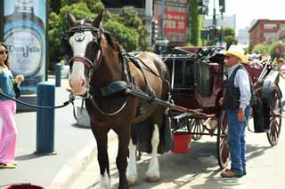 fotografia, materiale, libero il panorama, dipinga, fotografia di scorta,Una carrozza, cavallo, carrozza, Io sono americano, Facendo il turista