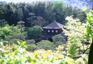 photo,material,free,landscape,picture,stock photo,Creative Commons,Ginkakuji in the wood, Ginkakuji, tree, , 