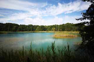 Foto, materieel, vrij, landschap, schilderstuk, bevoorraden foto,Plas vrouw van de opperhoofd zen-pastoor, Woud, Waterplas, Hemelsblauw blauw, Mt. Bandai-san