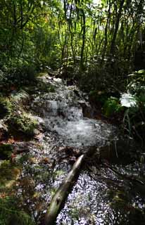 Foto, materiell, befreit, Landschaft, Bild, hat Foto auf Lager,Adlige Abstammung, Wald, Wasserfall, Bach, Mt. Bandai-san