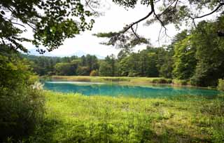 Foto, materieel, vrij, landschap, schilderstuk, bevoorraden foto,Aonuma, Woud, Waterplas, Hemelsblauw blauw, Mt. Bandai-san