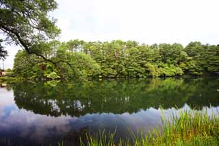 Foto, materiell, befreit, Landschaft, Bild, hat Foto auf Lager,Yaginuma, Wald, Teich, Die Oberflche des Wassers, Mt. Bandai-san