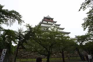 fotografia, material, livra, ajardine, imagine, proveja fotografia,A Matsushiro castelo torre jovem, fosso, Ishigaki, Castelo de Kurokawa, Ujisato Gamo