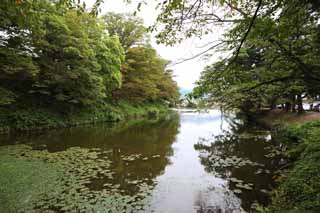 fotografia, material, livra, ajardine, imagine, proveja fotografia,Fosso de Matsushiro jovem, fosso, Ishigaki, Castelo de Kurokawa, Ujisato Gamo