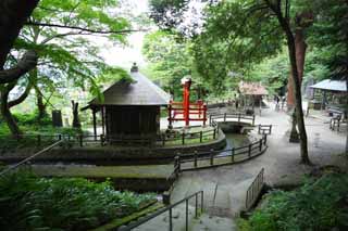 photo, la matire, libre, amnage, dcrivez, photo de la rserve,Voie navigable de Colline Iimori-yama, Eau de l'irrigation, corps du tigre blancs, Aizu, Riz grandir