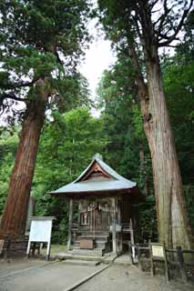 photo, la matire, libre, amnage, dcrivez, photo de la rserve,Colline Iimori-yama temple Itsukushima-jinja, Mlange de Bouddhisme et Shintosme, M. excellent. roseau, Aizu, Masakata Matsudaira