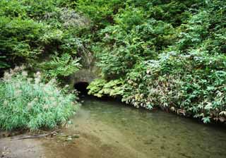 photo, la matire, libre, amnage, dcrivez, photo de la rserve,Une caverne du barrage de la bouche de la porte, Eau de l'irrigation, corps du tigre blancs, Aizu, Riz grandir