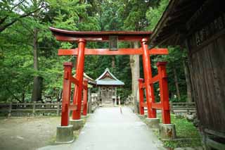 Foto, materiell, befreit, Landschaft, Bild, hat Foto auf Lager,Iimori-yama-Hgel Itsukushima-jinja-Schrein, Mischung von Buddhismus und Schintoismus, Ausgezeichnetes Mr.-Schilfrohr, Aizu, Masakata Matsudaira