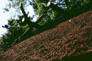 photo,material,free,landscape,picture,stock photo,Creative Commons,Shrine roof, Fushimi-inari Taisha, roof, , 