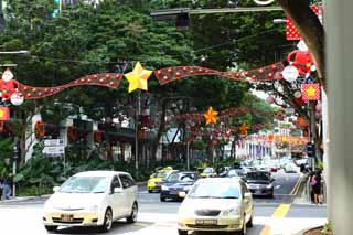 photo,material,free,landscape,picture,stock photo,Creative Commons,An orchard road, car, Christmas, roadside tree, The tropical zone