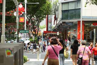 photo,material,free,landscape,picture,stock photo,Creative Commons,An orchard road, The sidewalk, Christmas, roadside tree, The tropical zone