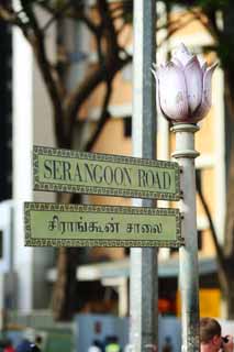 ,,, ,,, ., SERANGOON., ., ., .