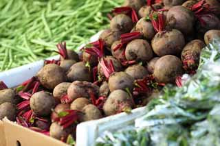 ,,, ,,,Beetroot.,  ., Beetroot., ., .