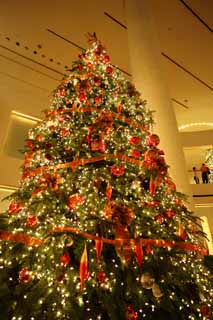 fotografia, materiale, libero il panorama, dipinga, fotografia di scorta,Un albero di Natale, stella, Neve, Un ornamento, X'mas