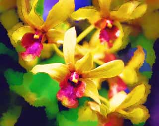 illustration,material,free,landscape,picture,painting,color pencil,crayon,drawing,A yellow orchid, An orchid, , , I am luxurious