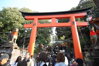 photo, la matire, libre, amnage, dcrivez, photo de la rserve,Fushimi-Inari Taisha torii de Temple, La visite de nouvelle anne  un temple shintoste, torii, Inari, renard