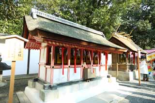 foto,tela,gratis,paisaje,fotografa,idea,Fushimi - Inari Taisha compaa de campo de carga del santuario, Visita de Ao Nuevo para un santuario sintosta, Soy pintado de rojo, Inari, Zorro