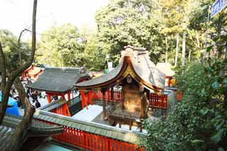 photo,material,free,landscape,picture,stock photo,Creative Commons,Fushimiinari professional jester Tamayama Inari company, New Year's visit to a Shinto shrine, I am painted in red, Inari, fox