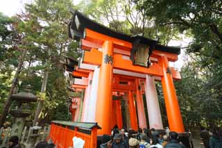 fotografia, material, livra, ajardine, imagine, proveja fotografia,1,000 Fushimi-Inari Taisha toriis de Santurio, A visita de Ano novo para um santurio de Xintosmo, torii, Inari, raposa