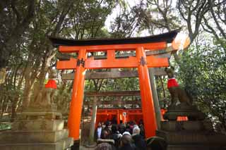 foto,tela,gratis,paisaje,fotografa,idea,1,000 Fushimi - Inari Taisha toriis del santuario, Visita de Ao Nuevo para un santuario sintosta, Torii, Inari, Zorro