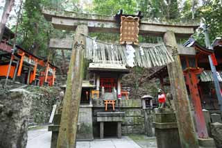 foto,tela,gratis,paisaje,fotografa,idea,Fushimi - Inari Taisha torii del santuario, Visita de Ao Nuevo para un santuario sintosta, Torii, Inari, Zorro