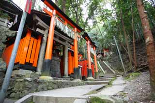 fotografia, materiale, libero il panorama, dipinga, fotografia di scorta,Fushimi-Inari Taisha torii di Sacrario, La visita di anno Nuovo ad un sacrario scintoista, torii, Inari, volpe