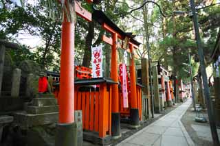 , , , , ,  .,Fushimi- Taisha Shrine torii,     Shinto shrine, torii, , 