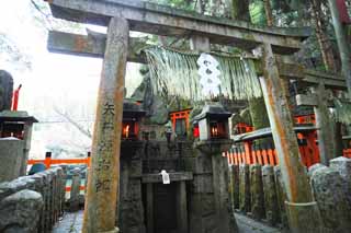 foto,tela,gratis,paisaje,fotografa,idea,Fushimi - Inari Taisha torii del santuario, Visita de Ao Nuevo para un santuario sintosta, Torii, Inari, Zorro