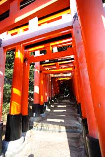 photo, la matire, libre, amnage, dcrivez, photo de la rserve,Fushimi-Inari Taisha torii de Temple, La visite de nouvelle anne  un temple shintoste, torii, Inari, renard