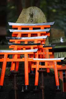 photo, la matire, libre, amnage, dcrivez, photo de la rserve,Fushimi-Inari Taisha torii de Temple, La visite de nouvelle anne  un temple shintoste, torii, Inari, renard