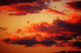 Foto, materieel, vrij, landschap, schilderstuk, bevoorraden foto,De zonsondergang bewolking, Hersenschim, Rood, Wolk, Bij donker