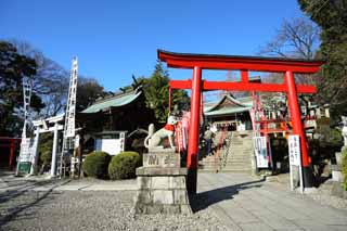 fotografia, material, livra, ajardine, imagine, proveja fotografia,Sanko Inari santurio, Macaco santurio de Tabiko, deidade guardi, Inari, torii