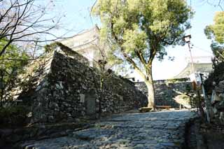 photo,material,free,landscape,picture,stock photo,Creative Commons,Inuyama-jo Castle stone pavement, white Imperial castle, Etsu Kanayama, castle, 