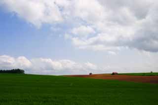 fotografia, materiale, libero il panorama, dipinga, fotografia di scorta,Pascolo e nube, pascolo, capanna, cielo blu, nube