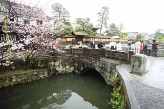 photo,material,free,landscape,picture,stock photo,Creative Commons,Kurashiki Imahashi, Traditional culture, stone bridge, cherry tree, The history