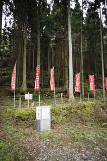 Foto, materieel, vrij, landschap, schilderstuk, bevoorraden foto,Arsenical rat vergiftigen van Iwami-zolver-mijn Mototani kleedkamer verzorger spoor plaatsen, De galerie, Ader, Een eeuwig aanslagvorming, Somo