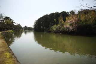 photo, la matire, libre, amnage, dcrivez, photo de la rserve,Matsue-jo Chteau, Visiter des sites pittoresques bateau, pont, foss, Ishigaki